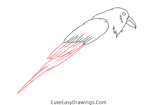 how to draw a crow - www.cuteeasydrawings.com