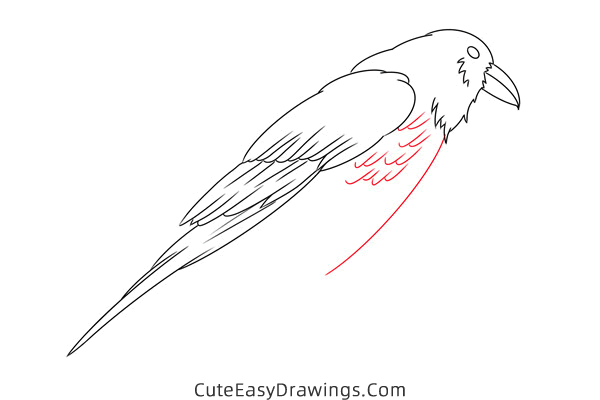 how to draw a crow - www.cuteeasydrawings.com