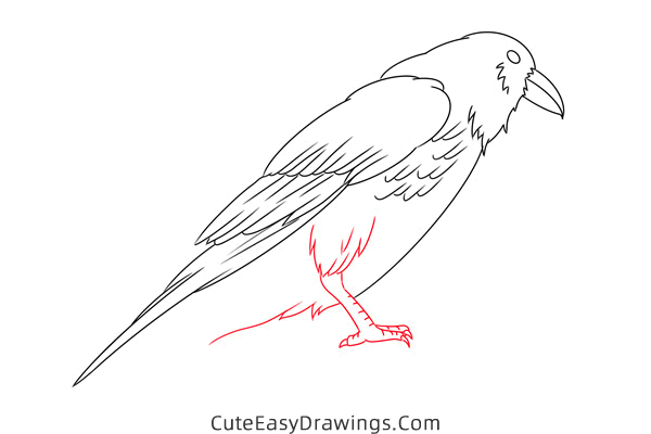 how to draw a crow - www.cuteeasydrawings.com