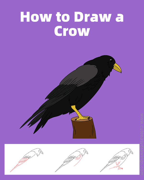 how to draw a crow - www.cuteeasydrawings.com