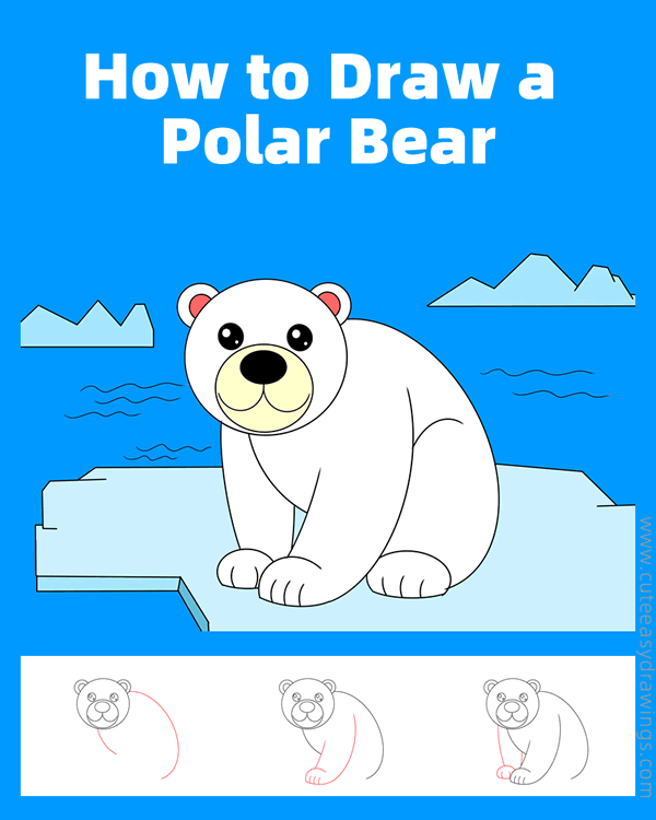 how to draw a polar bear - www.cuteeasydrawings.com