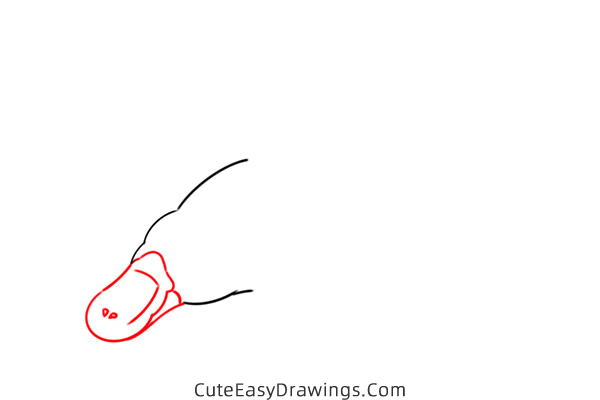 how to draw a platypus - www.cuteeasydrawings.com