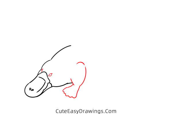 how to draw a platypus - www.cuteeasydrawings.com