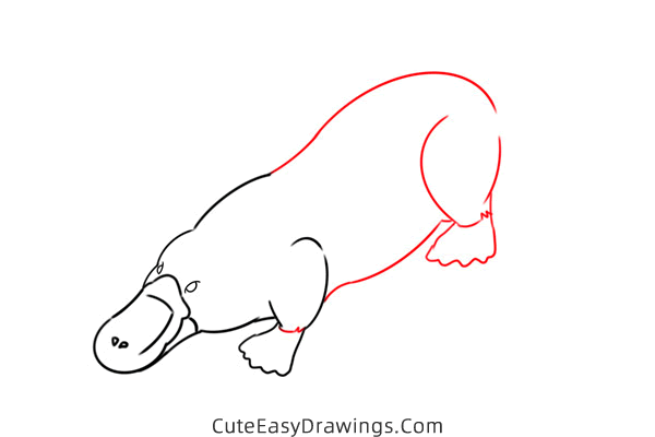 how to draw a platypus - www.cuteeasydrawings.com