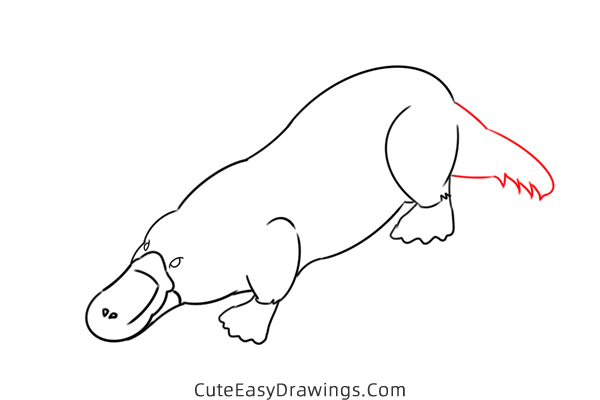 how to draw a platypus - www.cuteeasydrawings.com