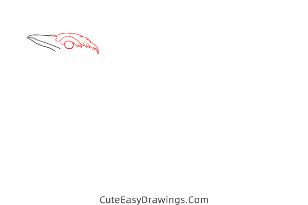 how to draw a blue jay - www.cuteeasydrawings.com