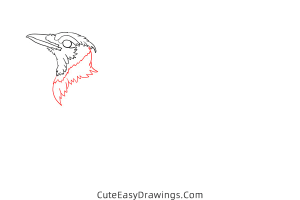 how to draw a blue jay - www.cuteeasydrawings.com