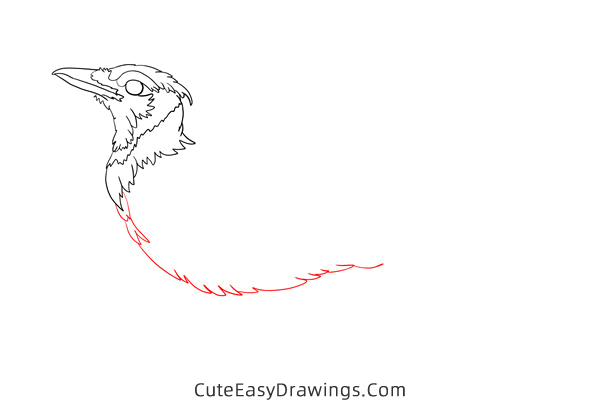 how to draw a blue jay - www.cuteeasydrawings.com