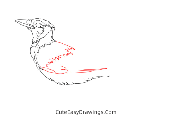 how to draw a blue jay - www.cuteeasydrawings.com