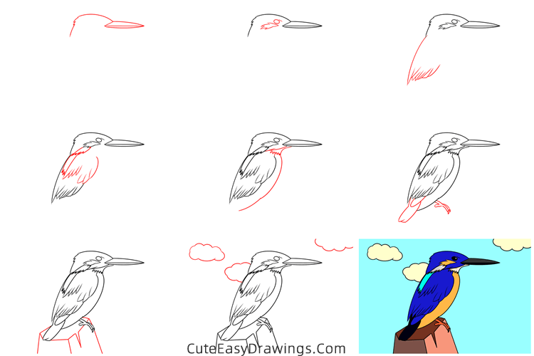 how to draw a kingfisher easy - www.cuteeasydrawings.com