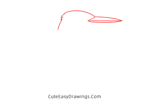 how to draw a kingfisher easy - www.cuteeasydrawings.com