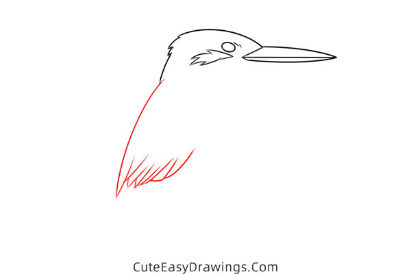 how to draw a kingfisher easy - www.cuteeasydrawings.com