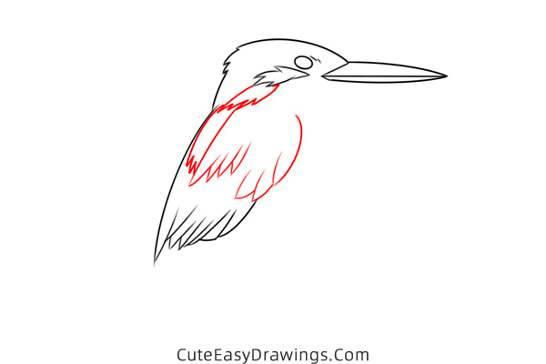 how to draw a kingfisher easy - www.cuteeasydrawings.com