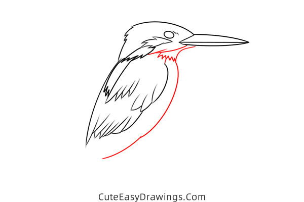 how to draw a kingfisher easy - www.cuteeasydrawings.com