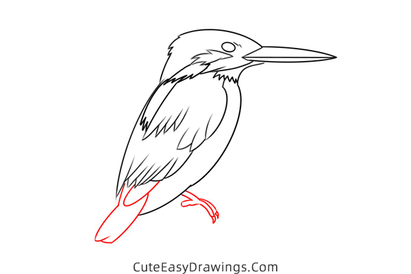 how to draw a kingfisher easy - www.cuteeasydrawings.com