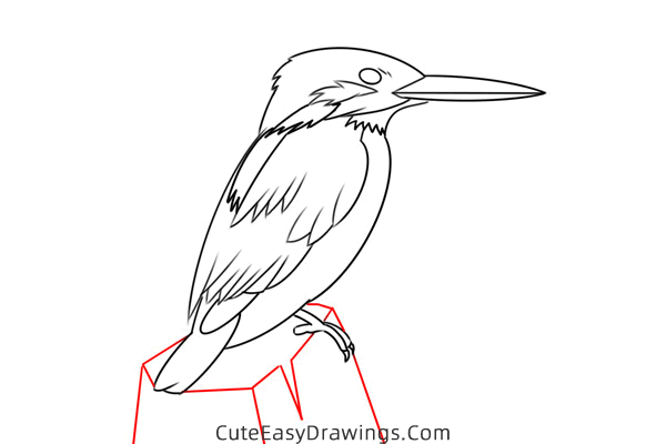 how to draw a kingfisher easy - www.cuteeasydrawings.com