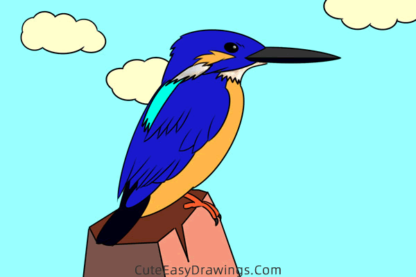 how to draw a kingfisher easy - www.cuteeasydrawings.com