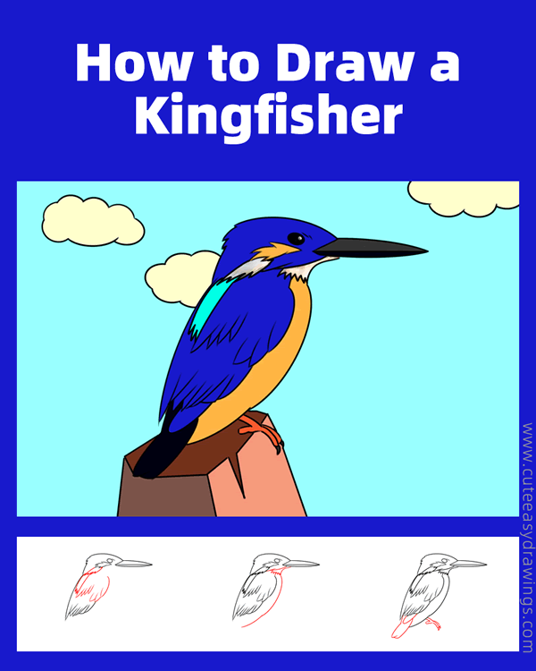 how to draw a kingfisher easy - www.cuteeasydrawings.com