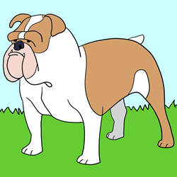 How to Draw a Bulldog Easy Step by Step