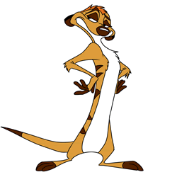 How to Draw Timon from The Lion King Step by Step