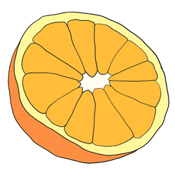 How to Draw an Orange Step by Step