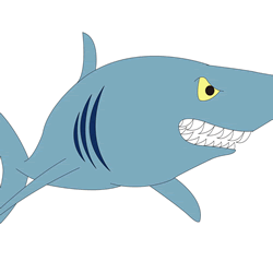 How to Draw a Shark Easy Step by Step