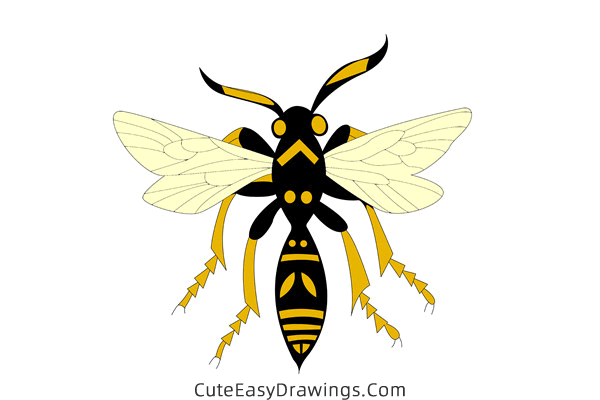 how to draw a bumblebee - www.cuteeasydrawings.com