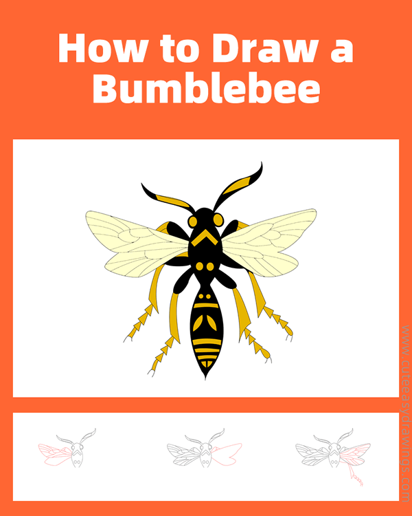 how to draw a bumblebee - www.cuteeasydrawings.com