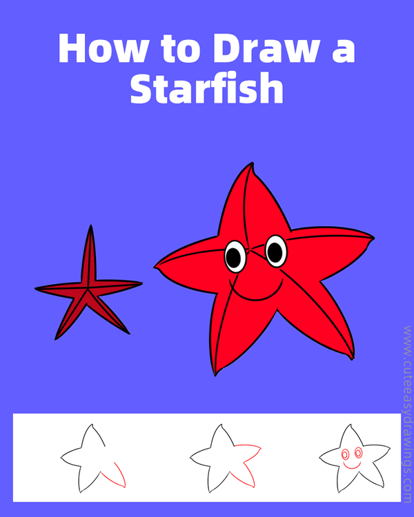 how to draw a cute starfish - www.cuteeasydrawings.com