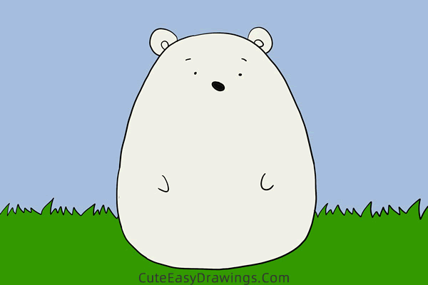 how to draw a cute bear - www.cuteeasydrawings.com