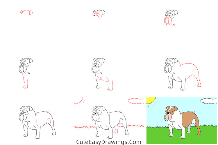 how to draw a bulldog easy - www.cuteeasydrawings.com