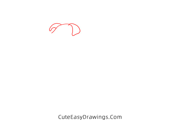 how to draw a bulldog easy - www.cuteeasydrawings.com