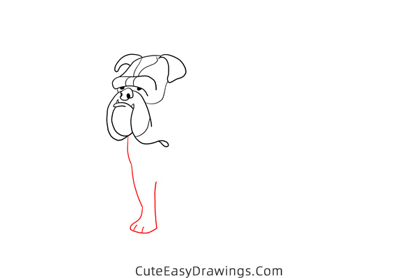 how to draw a bulldog easy - www.cuteeasydrawings.com