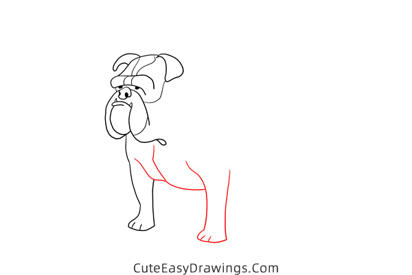 how to draw a bulldog easy - www.cuteeasydrawings.com