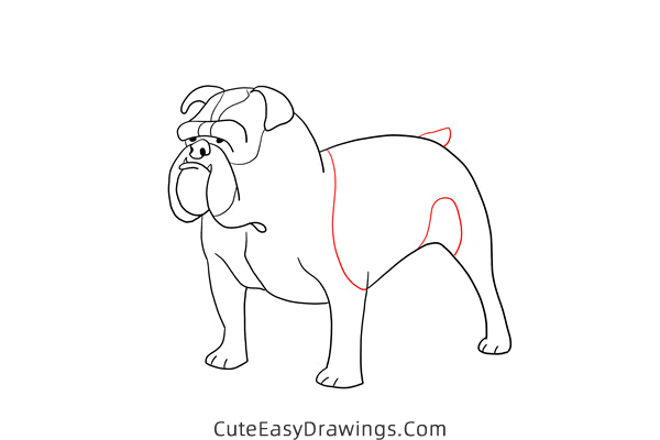 how to draw a bulldog easy - www.cuteeasydrawings.com