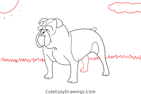 how to draw a bulldog easy - www.cuteeasydrawings.com