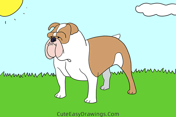 how to draw a bulldog easy - www.cuteeasydrawings.com