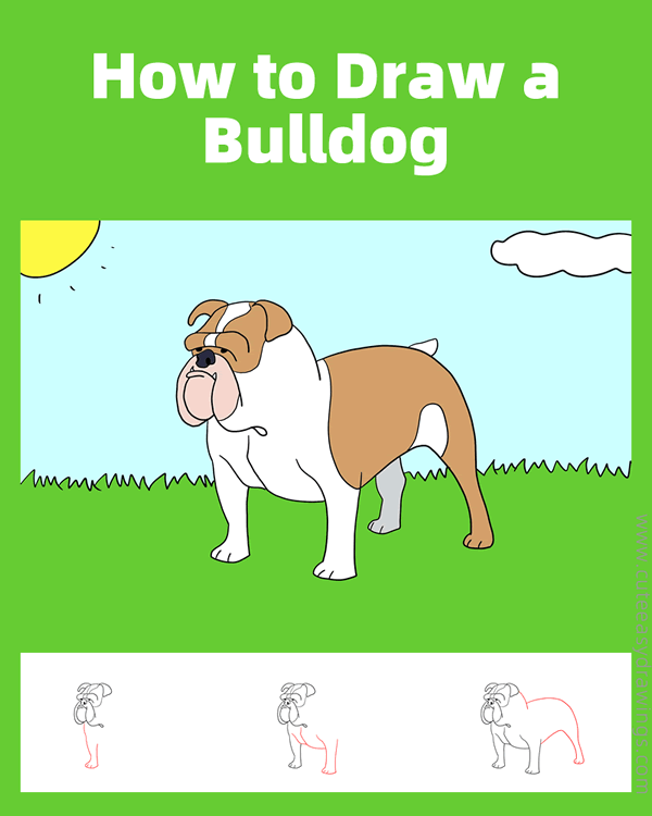 how to draw a bulldog easy - www.cuteeasydrawings.com