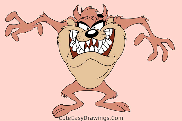 how to draw tasmanian devil from looney tunes - www.cuteeasydrawings.com