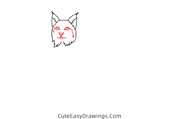 how to draw a lynx easy - www.cuteeasydrawings.com