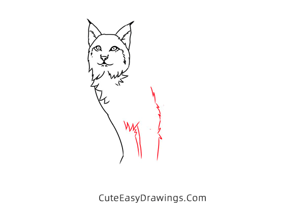 how to draw a lynx easy - www.cuteeasydrawings.com