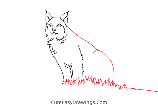 how to draw a lynx easy - www.cuteeasydrawings.com