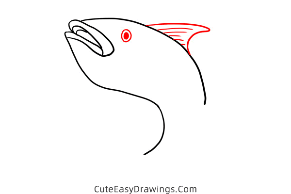 how to draw a tuna fish - www.cuteeasydrawings.com