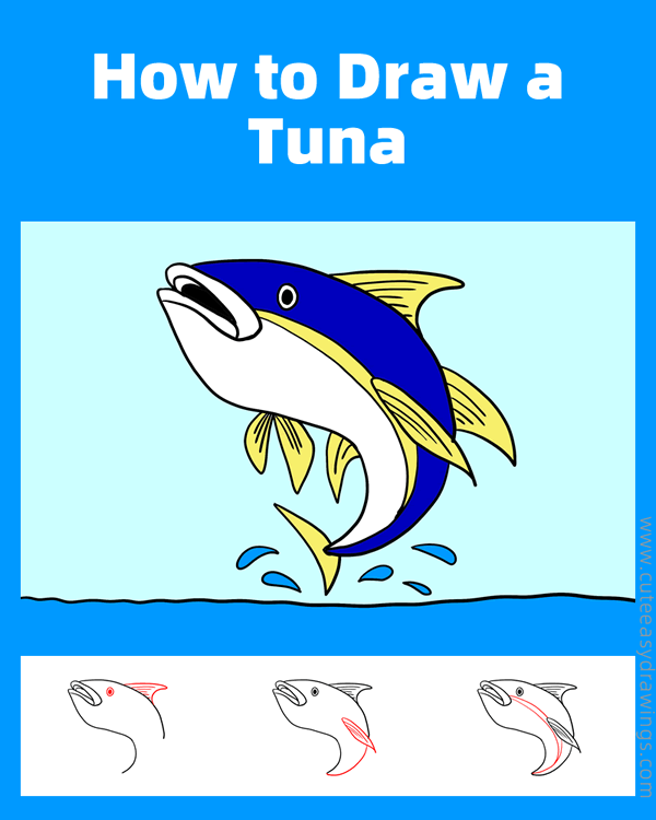 how to draw a tuna fish - www.cuteeasydrawings.com