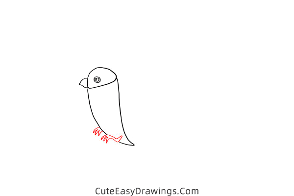 how to draw a bullfinch - www.cuteeasydrawings.com