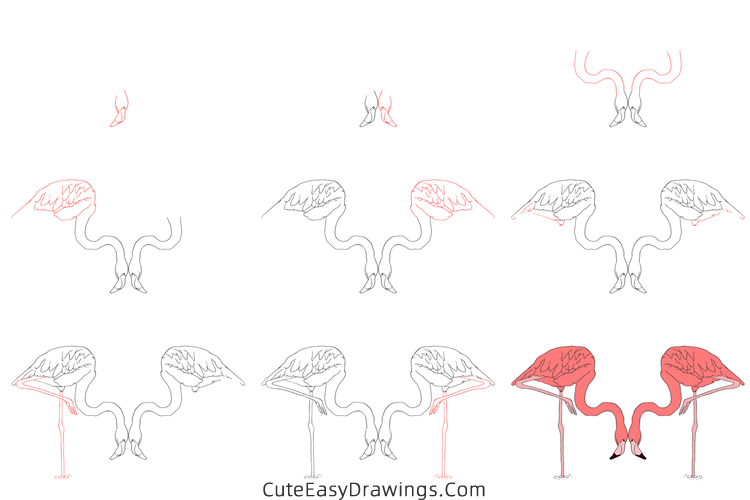 how to draw a pair of flamingos - www.cuteeasydrawings.com