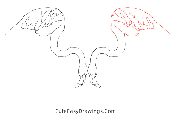 how to draw a pair of flamingos - www.cuteeasydrawings.com