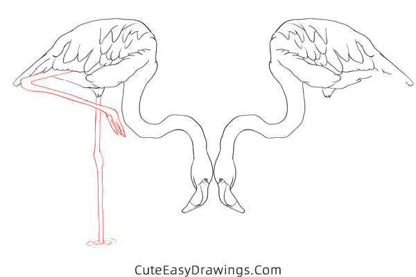 how to draw a pair of flamingos - www.cuteeasydrawings.com