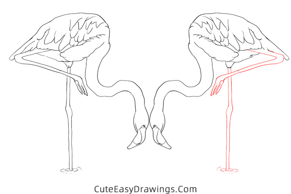 how to draw a pair of flamingos - www.cuteeasydrawings.com