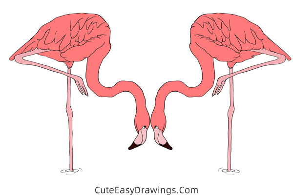 how to draw a pair of flamingos - www.cuteeasydrawings.com